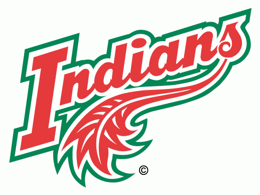 frolunda indians 1996-pres wordmark logo iron on heat transfer